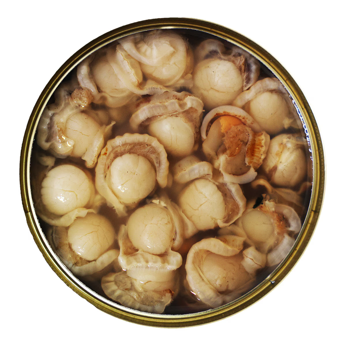 Zamburiñas al Natural José Peña – RO-120 (120 g)