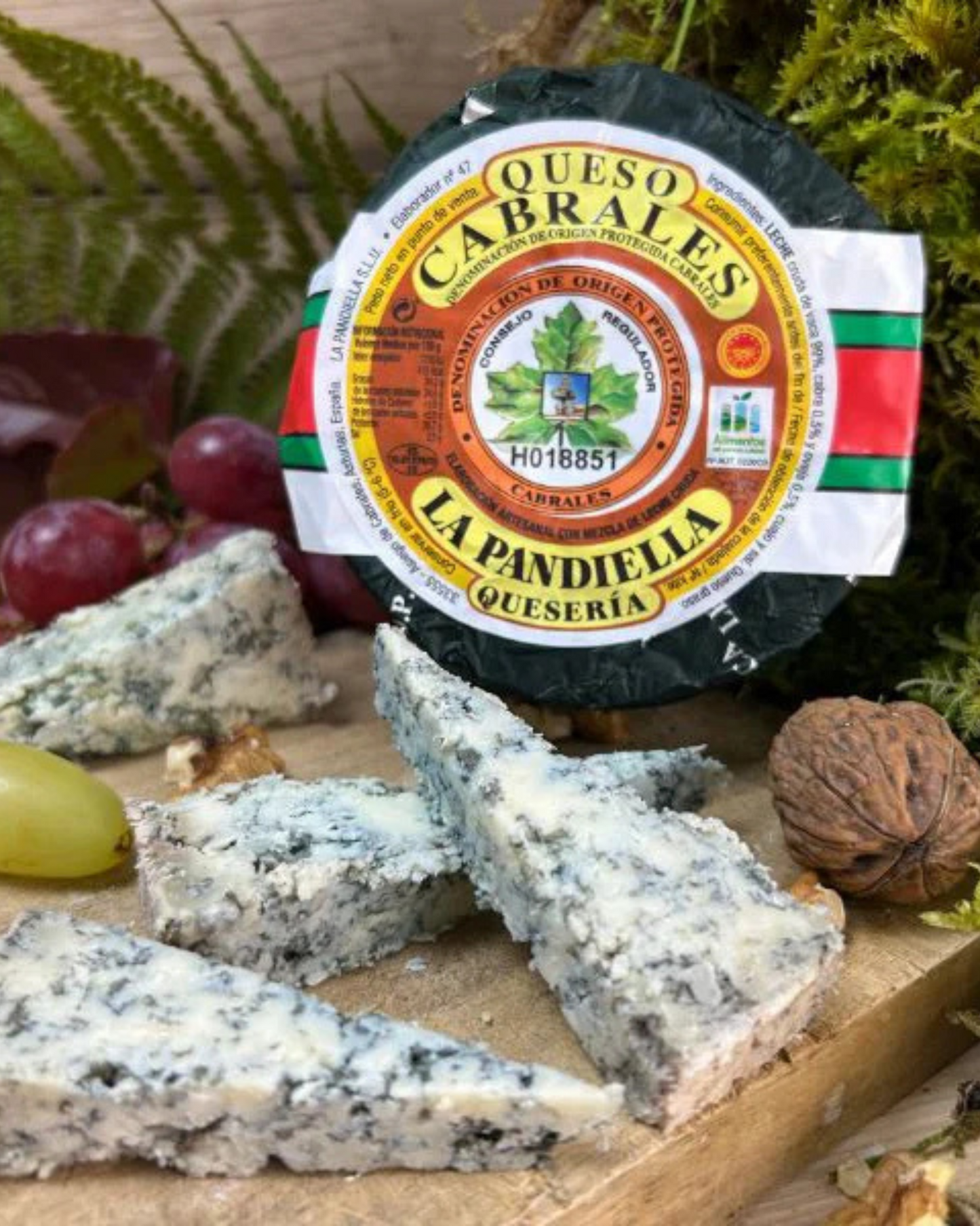 Queso Cabrales – Juani Charcutería 29,90€/Kg