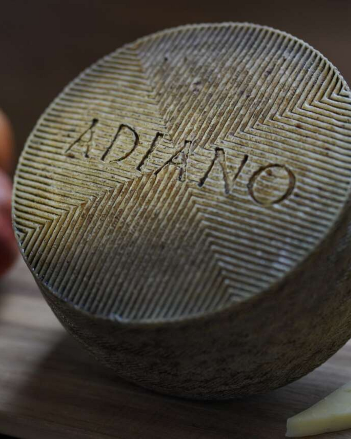 Queso de Oveja Añejo Adiano – Selección Gourmet 35,90€/Kg
