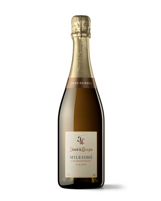 Juvé & Camps Milesimé – La Pureza del Chardonnay